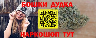 твердый Кингисепп