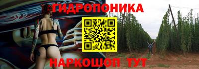 твердый Кингисепп