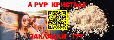 твердый Кингисепп