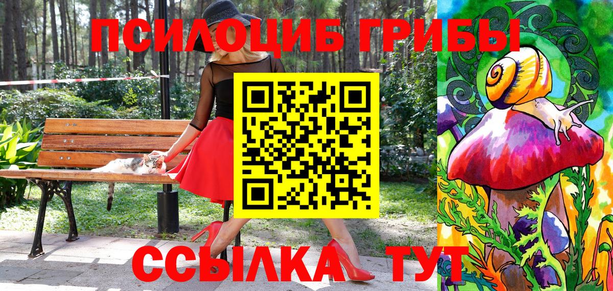 Галлюциногенные грибы прущие грибы  как найти   Корсаков  Вход с VPN 